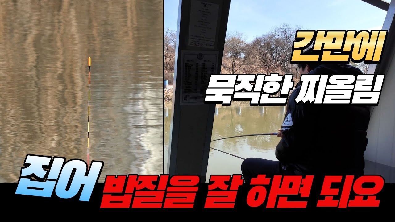 간만에 보는 묵직한 찌올림 역시 밥질이 답이었습니다-경기 안성 명인낚시터(2025.12.12) #즐낚tv