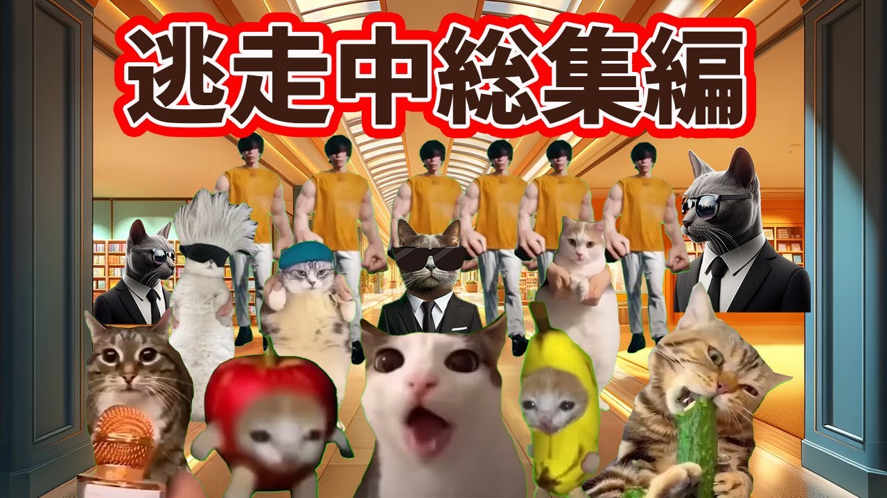ショッピングモールで逃走中・まとめ・総集編【猫ミーム】【猫マニ】