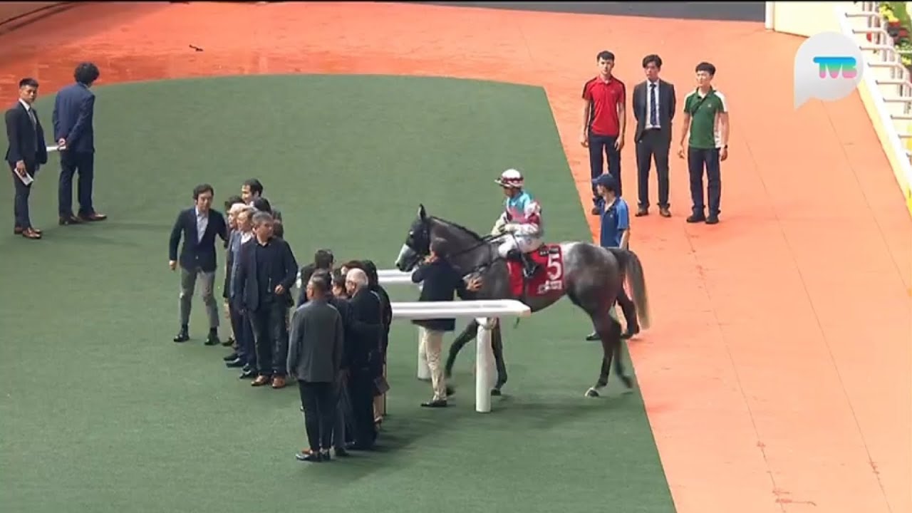 2024-09-25 (054) - 紅逸舍 (Red Elegance) [H241] - 蔡明紹 (M.Chadwick) (檔位形勢惡劣依然忠心準繩贏馬)