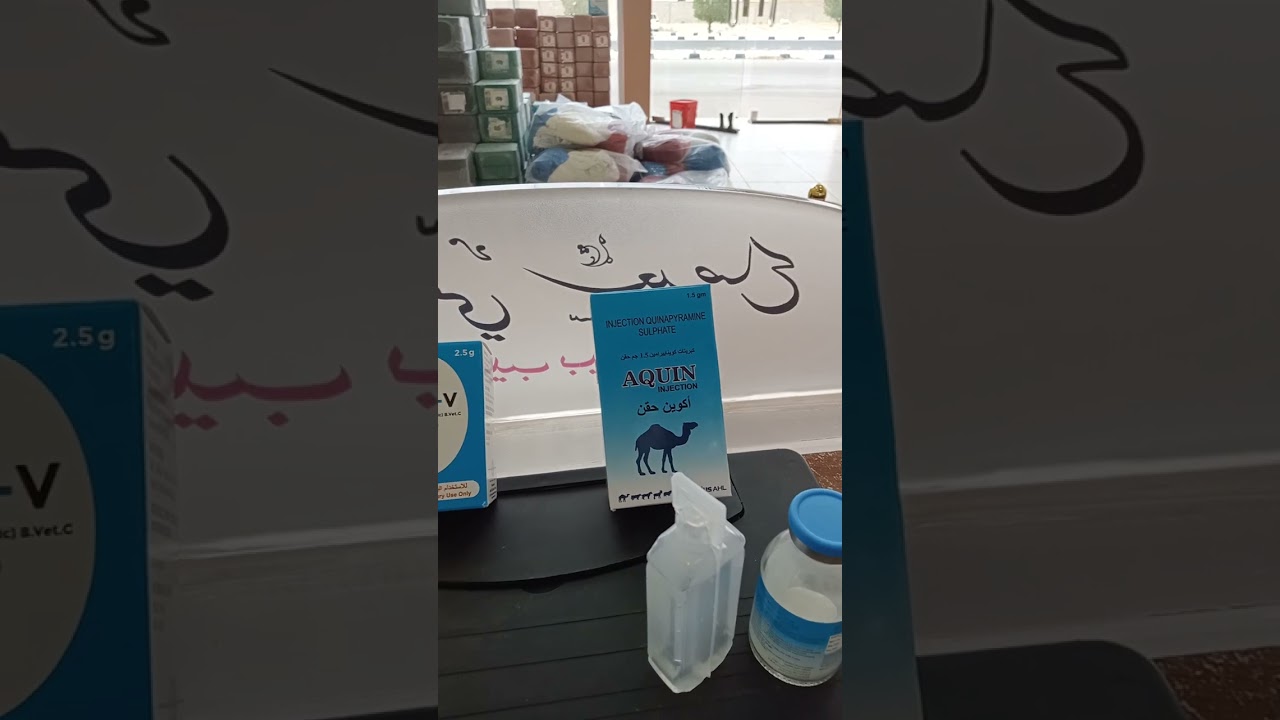 علاج الهيام فى الإبل ،العلاج والوقايه من الهيام