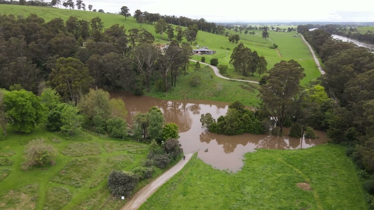 Trapped by flood waters near Orbost Victoria.