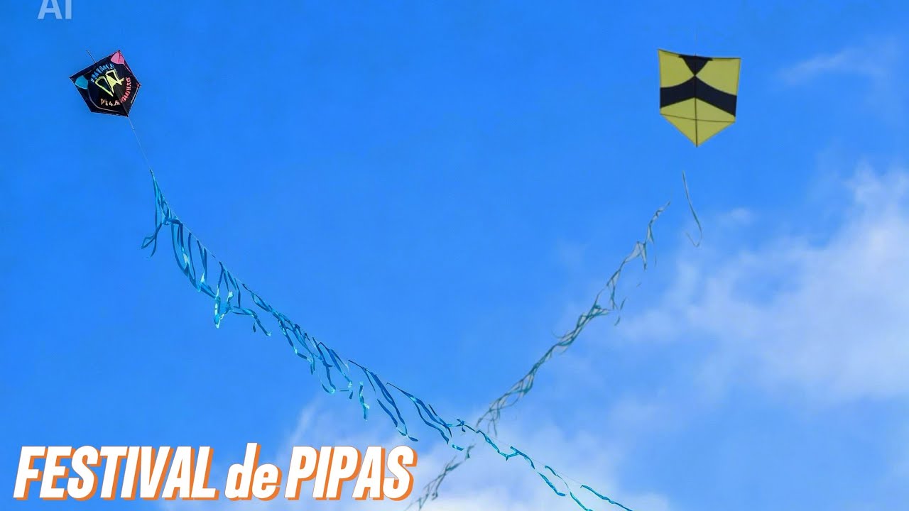 PIPÃO PRETO E BRANCO CORTOU VÁRIOS  PIPAS NESTE FESTIVAL #pipa #pipaoanotodo #kite 