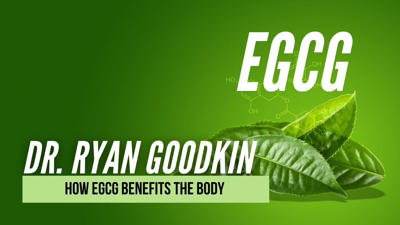 What is EGCG and how does it help you | Dr. Ryan Goodkin
