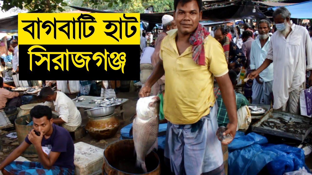 Bagbati Haat | Rural Village Market In Bangladesh | বাগবাটি হাটে মাছের দাম এতো কম? | Info Hunts
