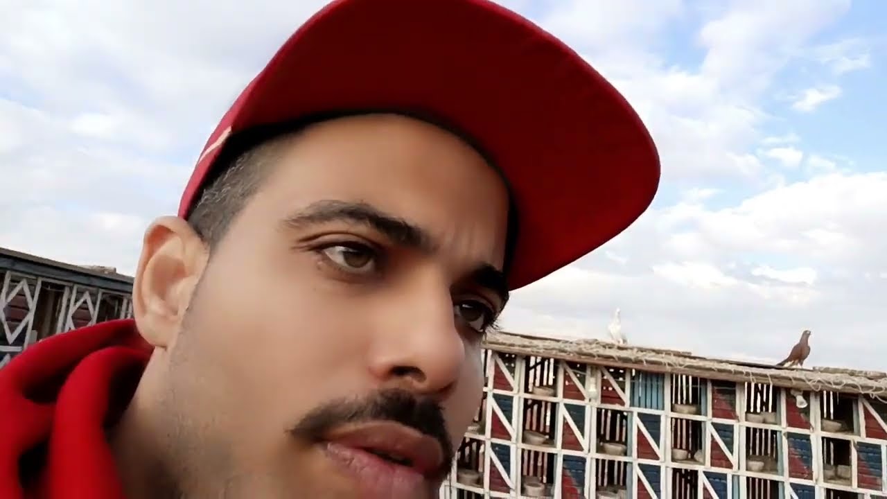 نش الحمام وفتح نفس الحمام #الحمام_مع_الطوخي ١٢ ديسمبر ٢٠٢٥