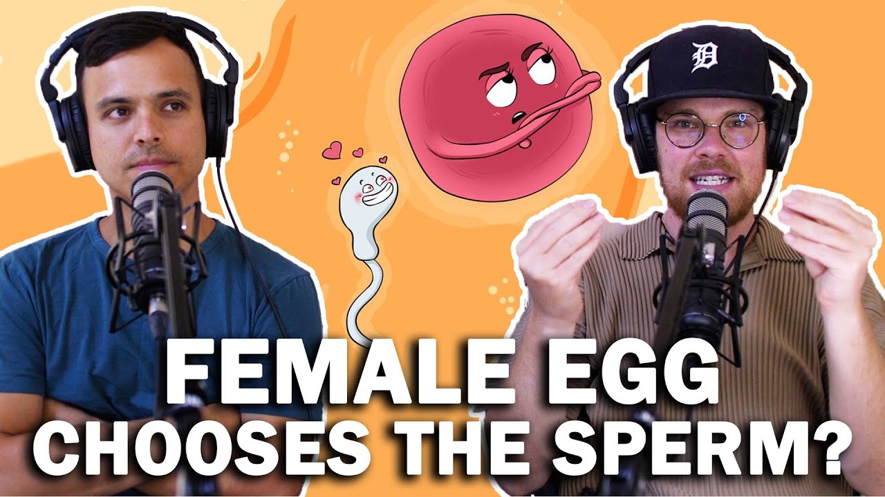 The Female Egg Chooses the Sperm?