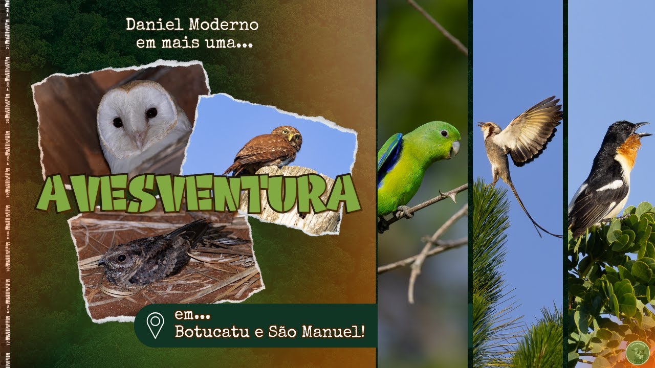 𓅫📸Avesventura em Botucatu e São Manuel/SP, prepare-se para se surpreender em mais uma Avesventura!💚