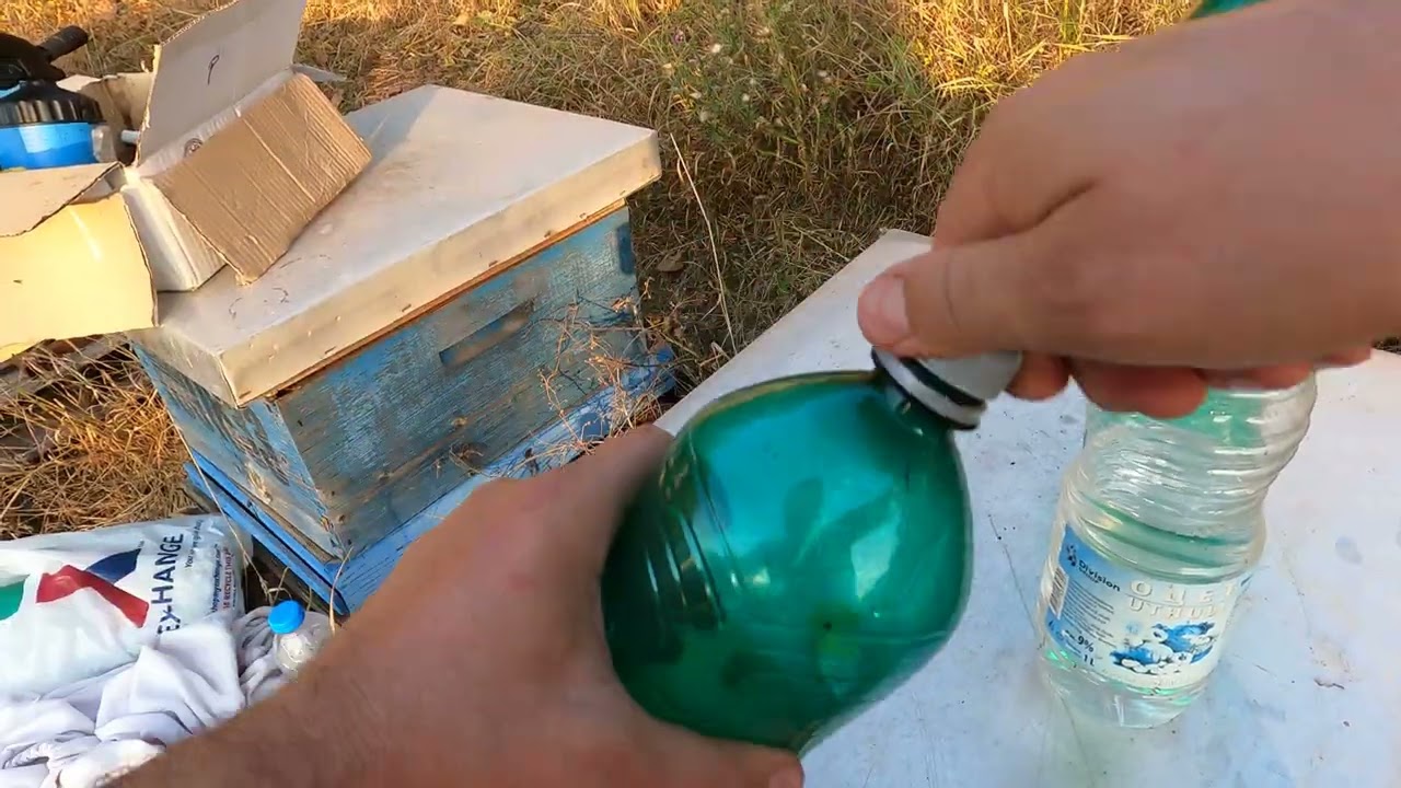 How to make wasp traps–Wasps and wax moth homemade traps/Si ti bëjmë kurthet për grerëzat 05.10.23
