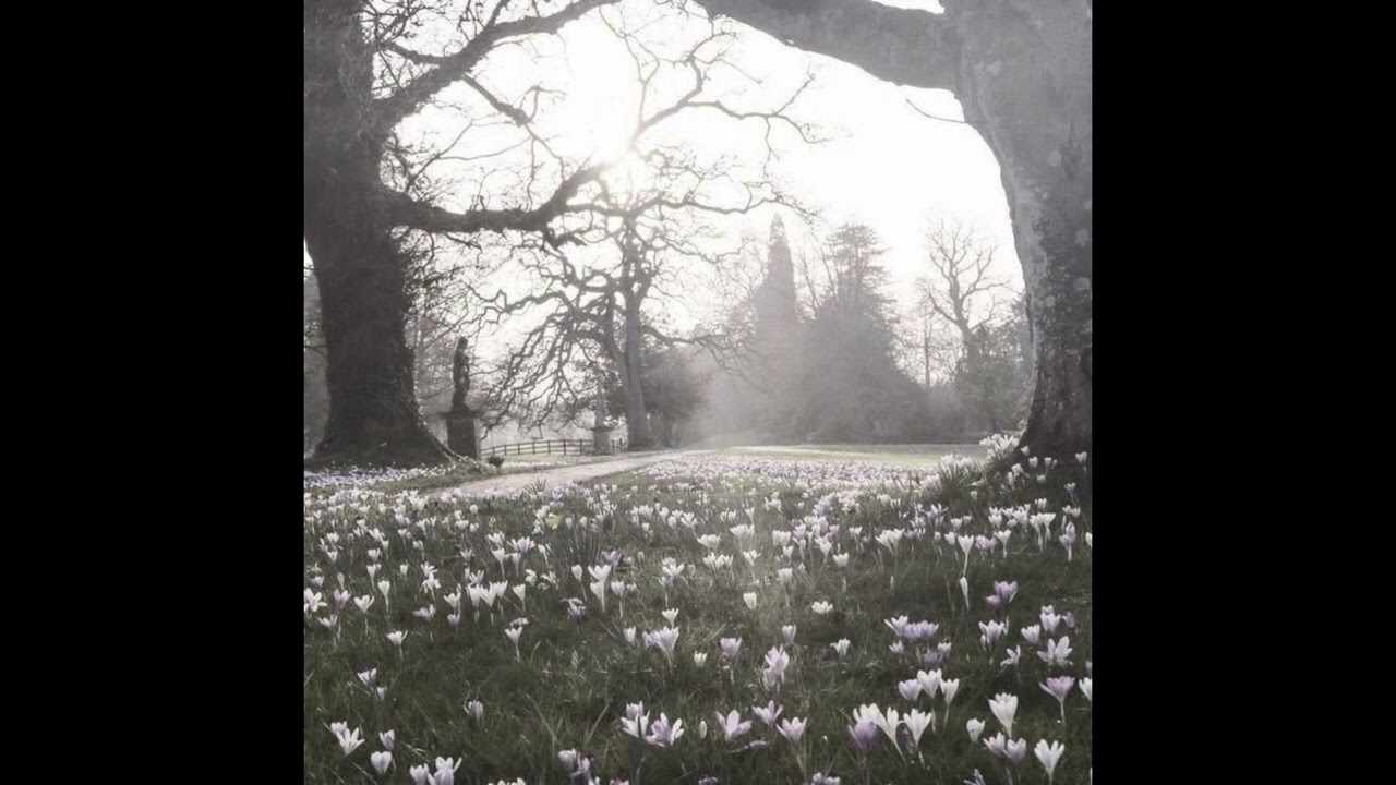 *FREE* Pepel Nahudi x NEWLIGHTCHILD! x Kai Angel type beat - 