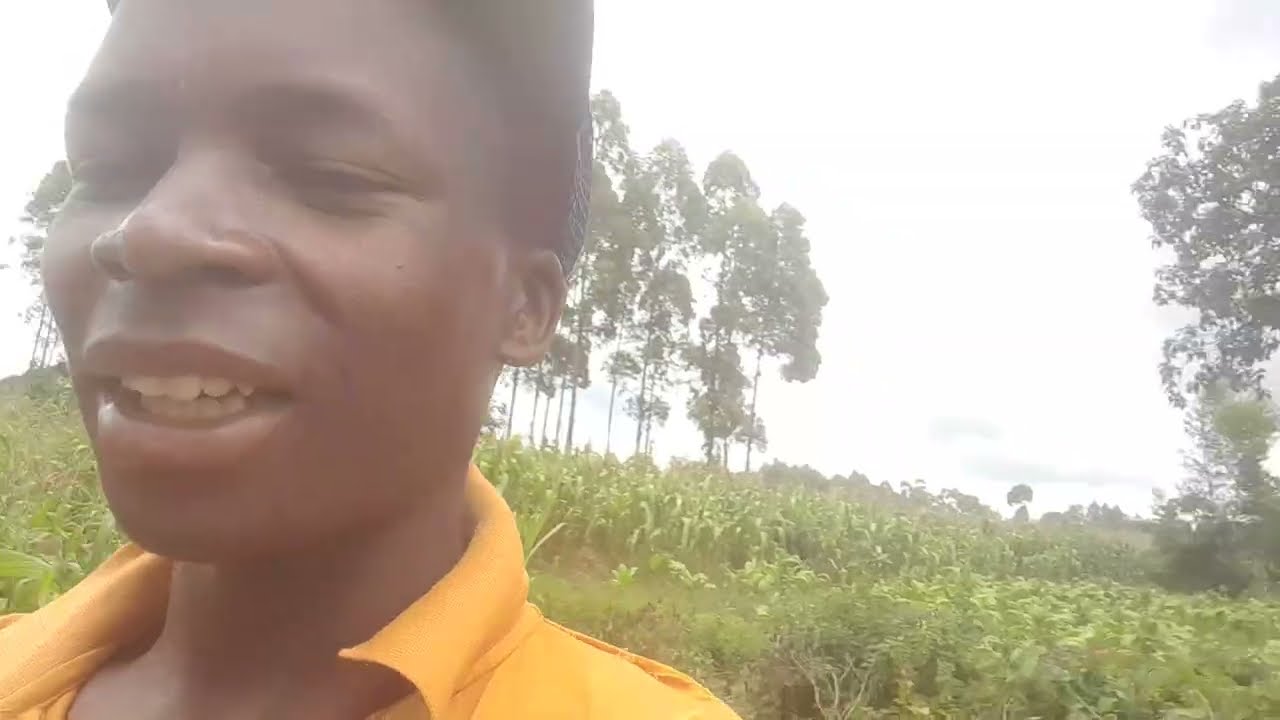 Wonderful  at our land