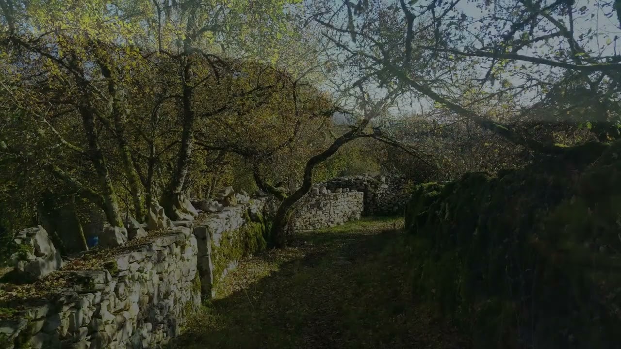 MERVEILLES DE L'AUTOMNE EN VALLEE DU CELE