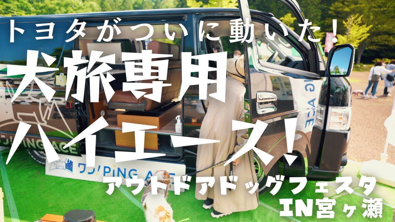 【トヨタが動いた！】これが犬旅専用ハイエース！アウトドアドッグフェスタin宮ヶ瀬で見てきた。【ワンピングエース/湘南移住暮らし/犬とキャンピングカー/キャバリア】