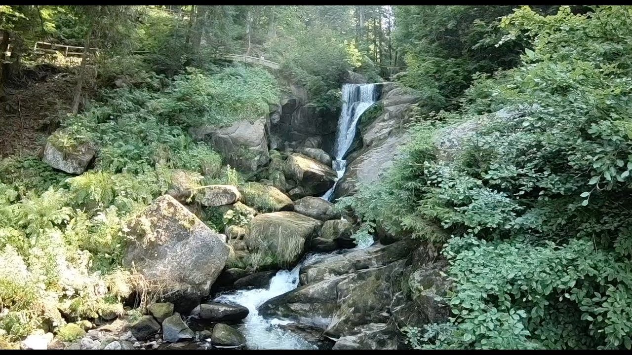 Германия - Шварцвальд 