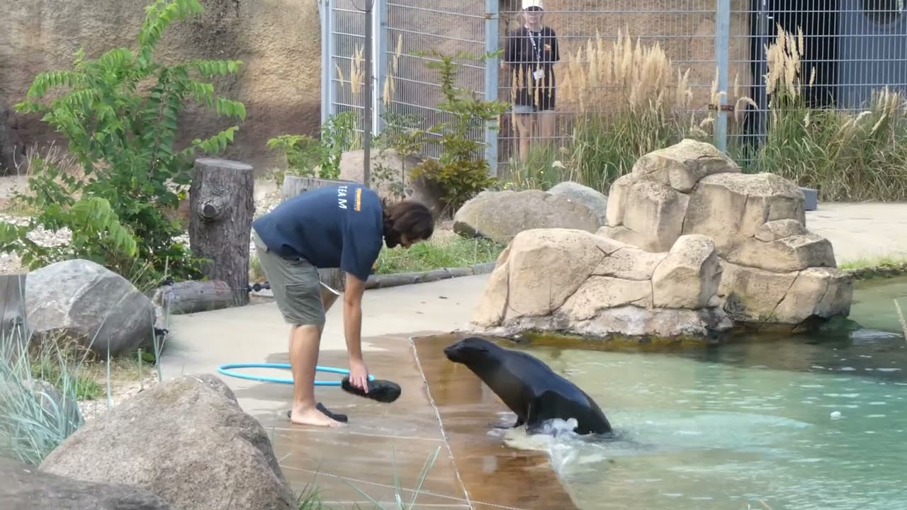 Zoo Wroclaw feeding