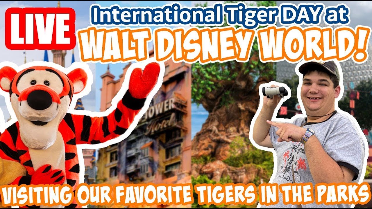 🔴Live: International Tiger Day Around Disney World! - Rides, Tigers & More - Disney World Livestream