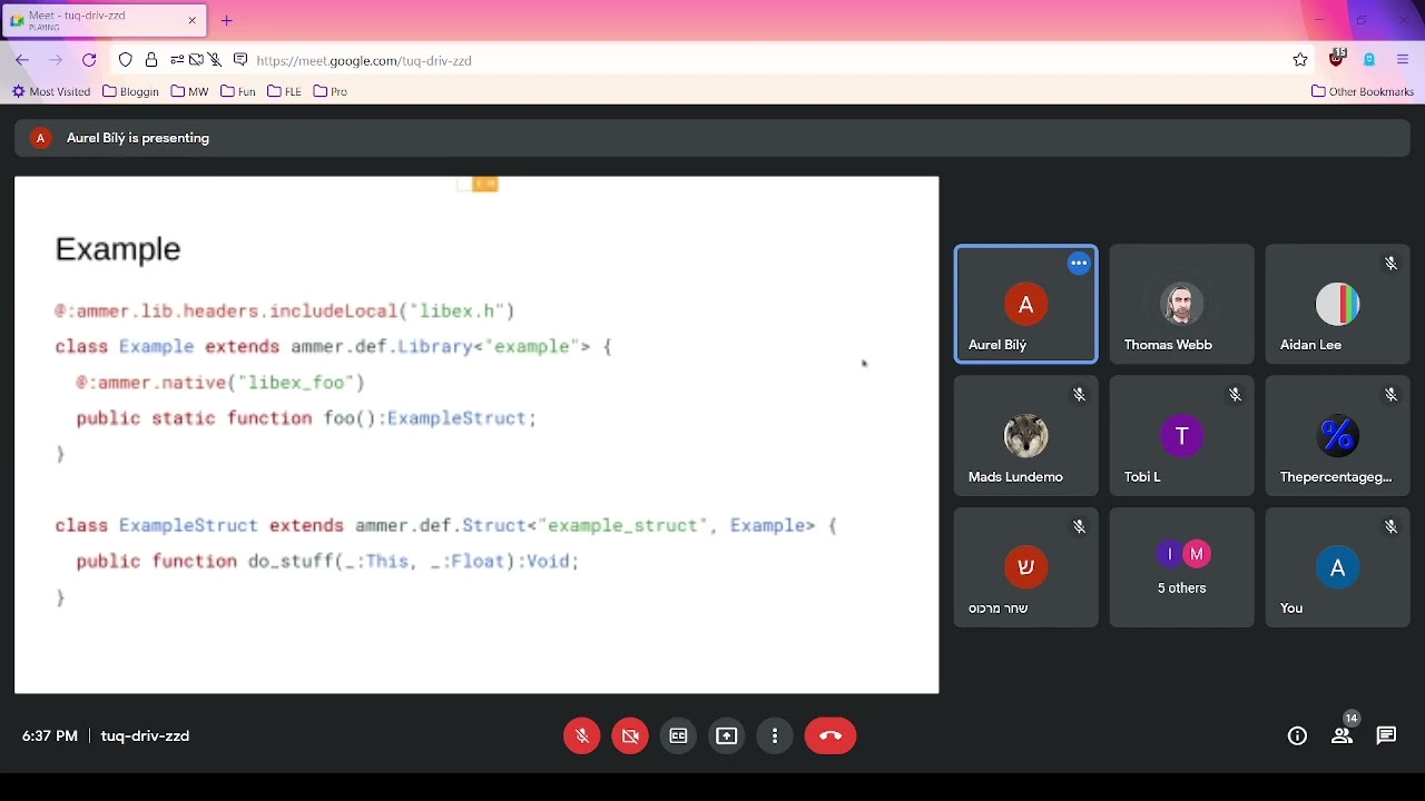 HaxeHybrid 2022 - Aurel300 on Ammer Framework