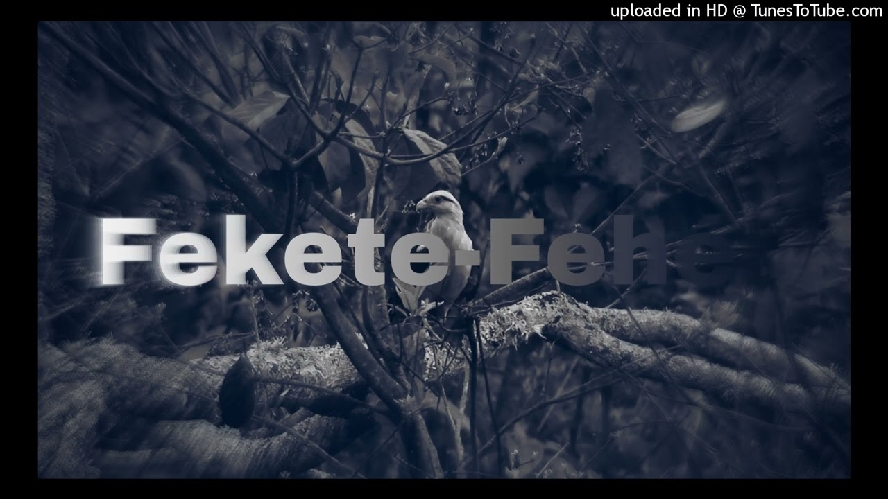Fekete-Fehér