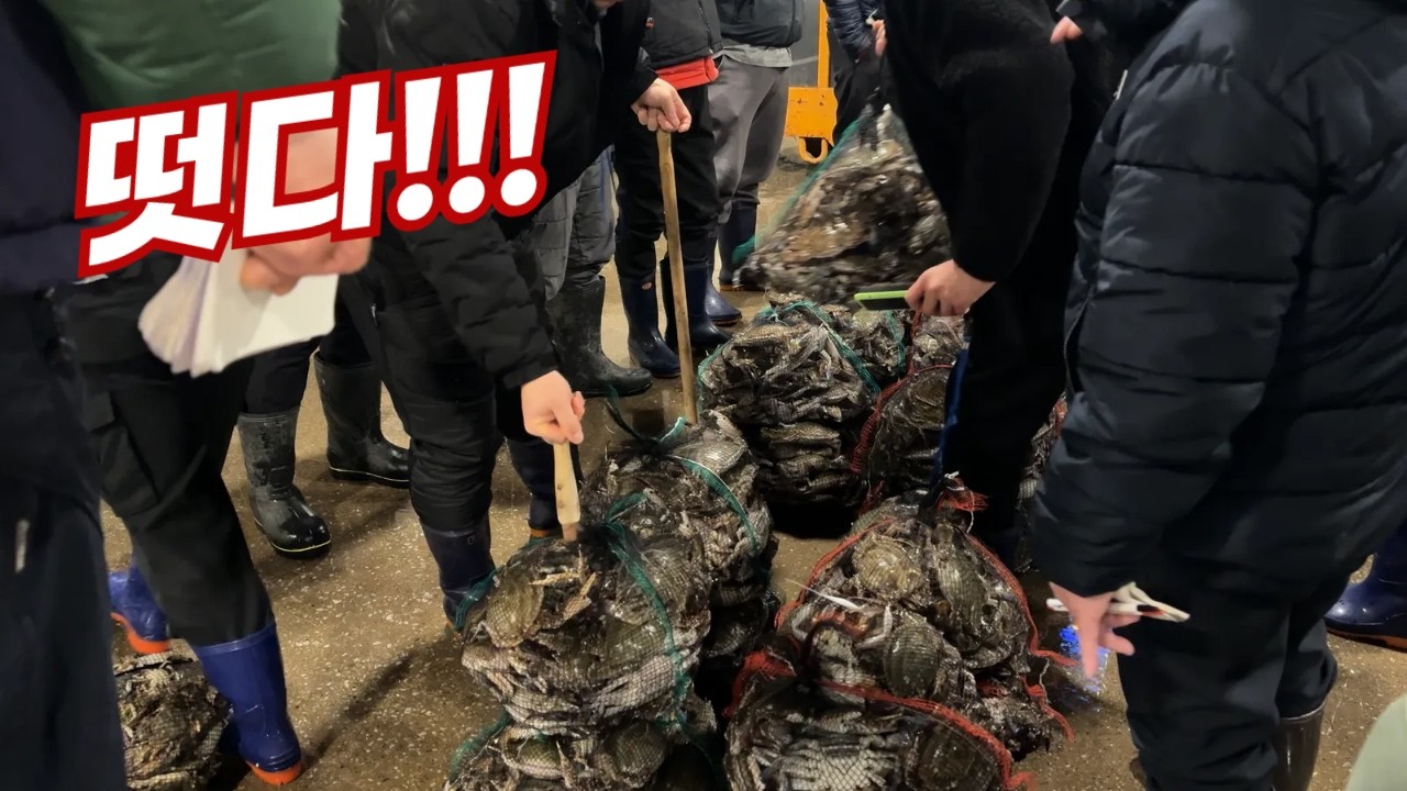 떳다!!!봄 암꽃게~~과연 시작 가격은?!! 3월4째주 노량진수산시장 리뷰!!!!