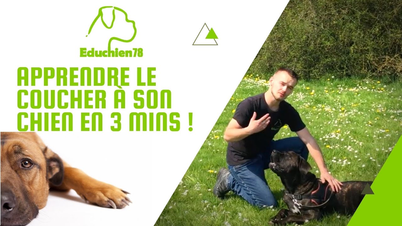 APPRENDRE LE COUCHER A SON CHIEN EN 3 MINUTES !!!