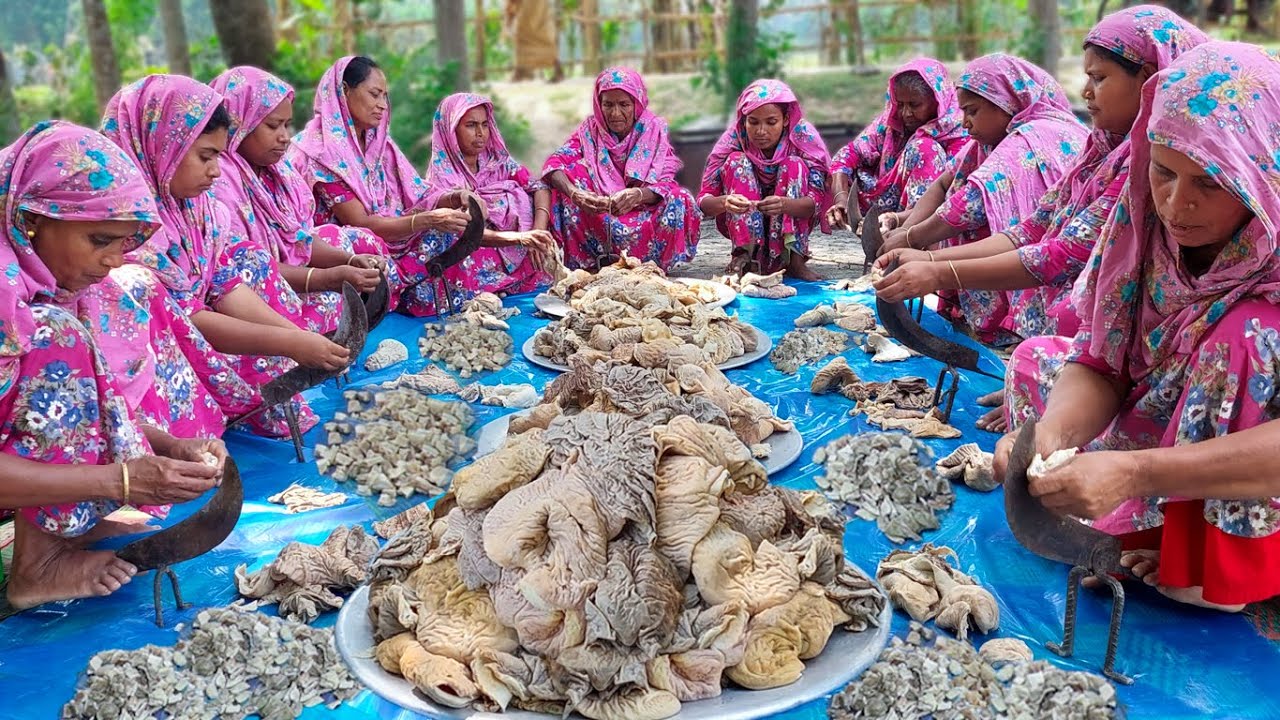 Most Favorite Village Food - Buffalo Intestine Curry - 80 KG BOT Cooking in Village - Stomach Recipe