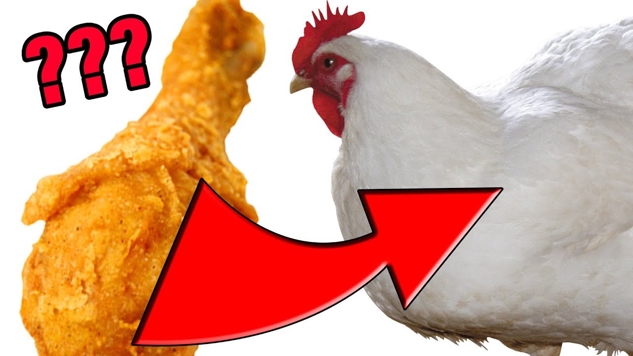 fried chicken review