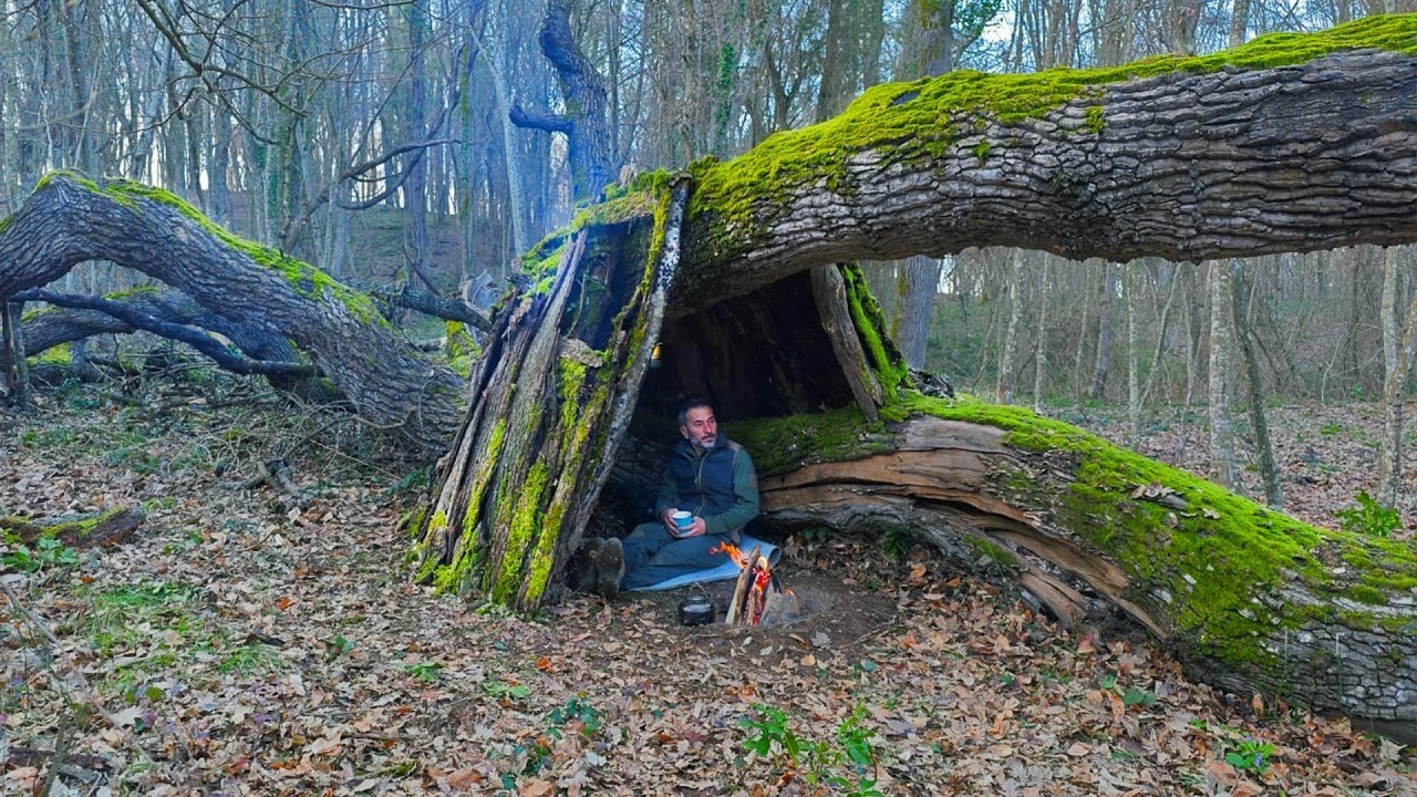 Building a Bushcraft Shelter Between Fallen Trees | Survival