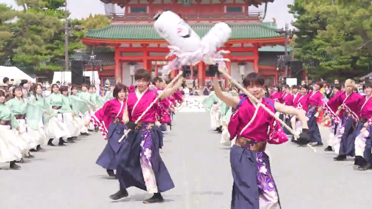 [4K] 早稲田大学よさこいチーム東京花火　京都さくらよさこい 2023 さくよさ 2日目 神宮道スペシャルステージ　パレード演舞