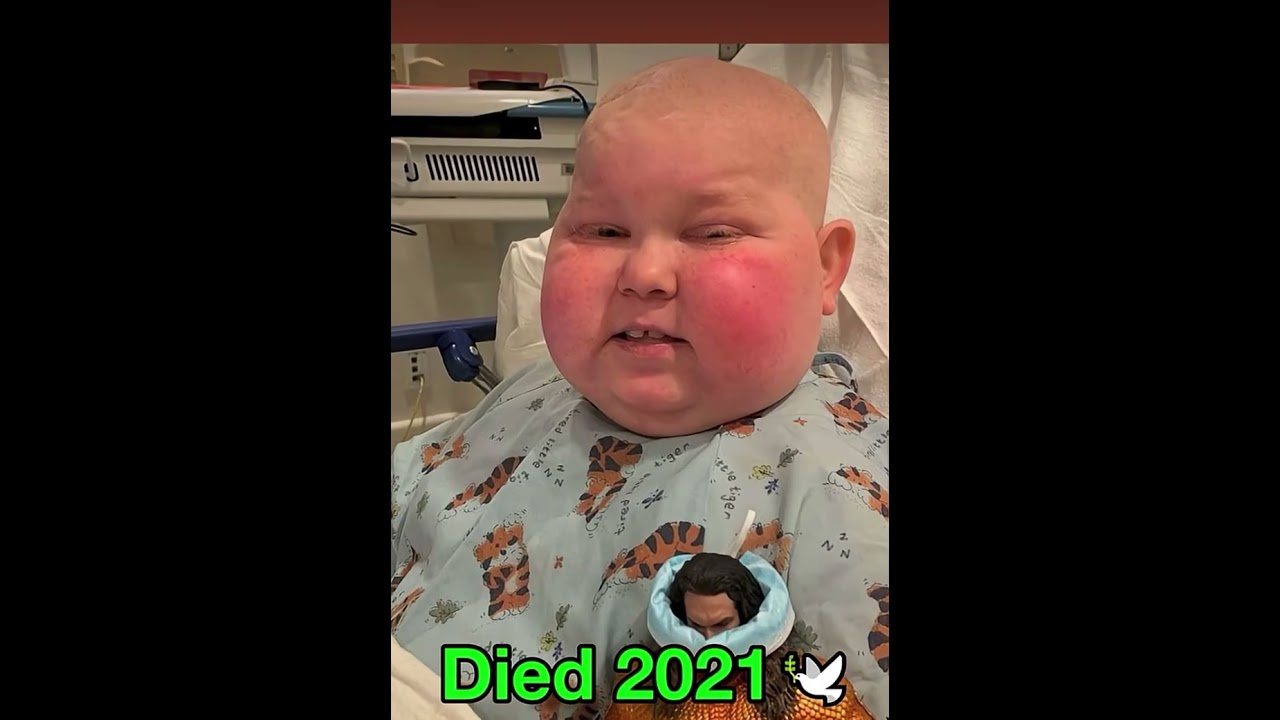 The memes I found last night 