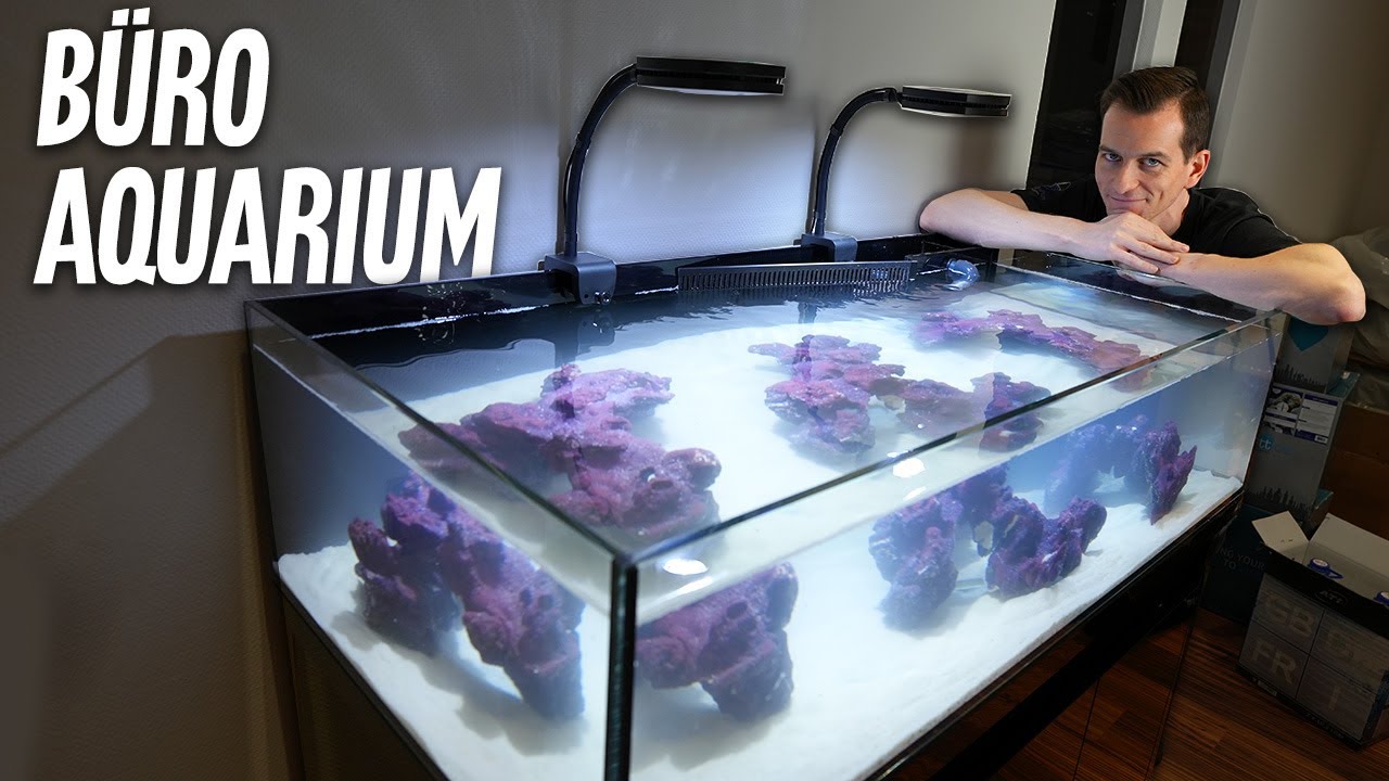Wir bauen das BÜRO-AQUARIUM (Shallow Tank) *PlanktonPlus Aquaristik*