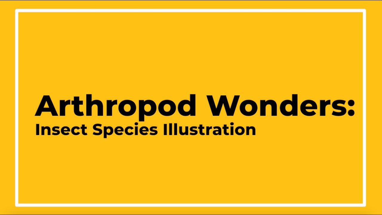Arthropod Wonders: Insect Species Illustration Ongoing course (Ages 11-15)