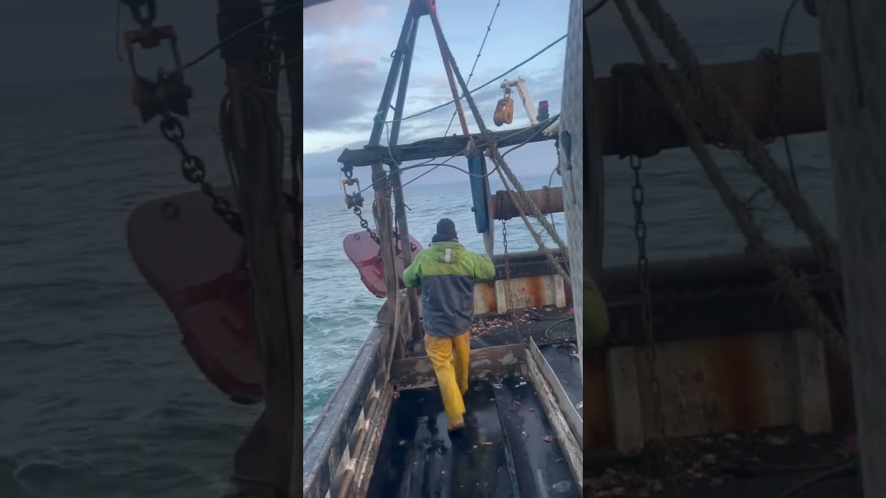 Fisheries boat turns up 