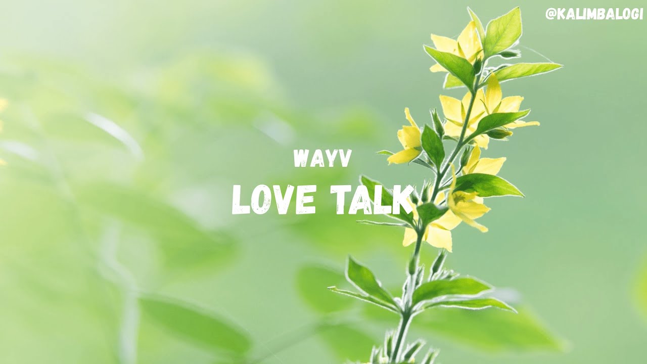WayV (威神V) - Love Talk || Easy Kalimba Number Tabs + Lyrics