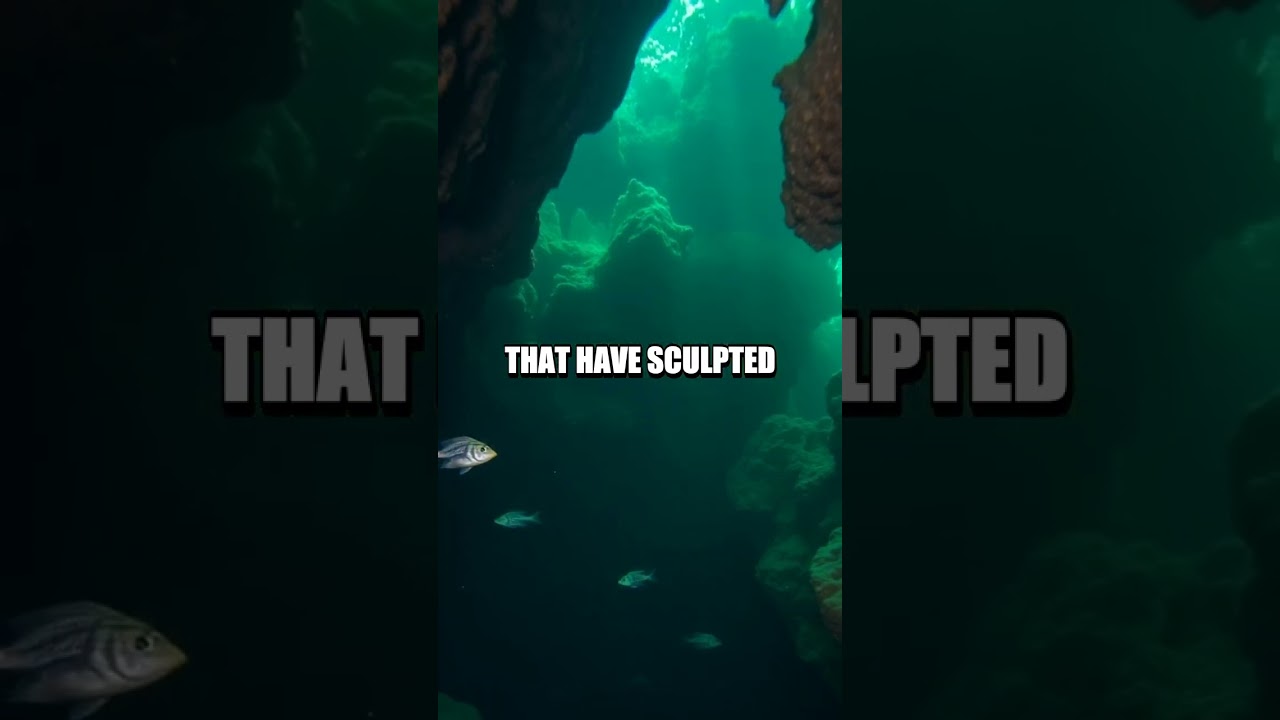 The Hidden Caves of Al Hoota