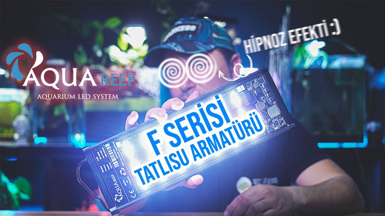 Aquareef F Serisi Tatlı Su Armatürü - Hipnoz Mod Efsane 😅