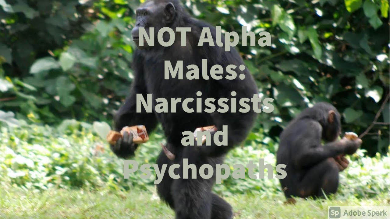 Practice Nothingness, Step 12: Do NOT be MGTOW 