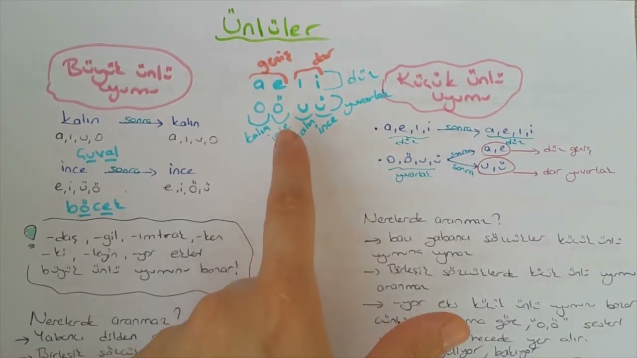 ses bilgisi ünlülerdeki ses olayları 1