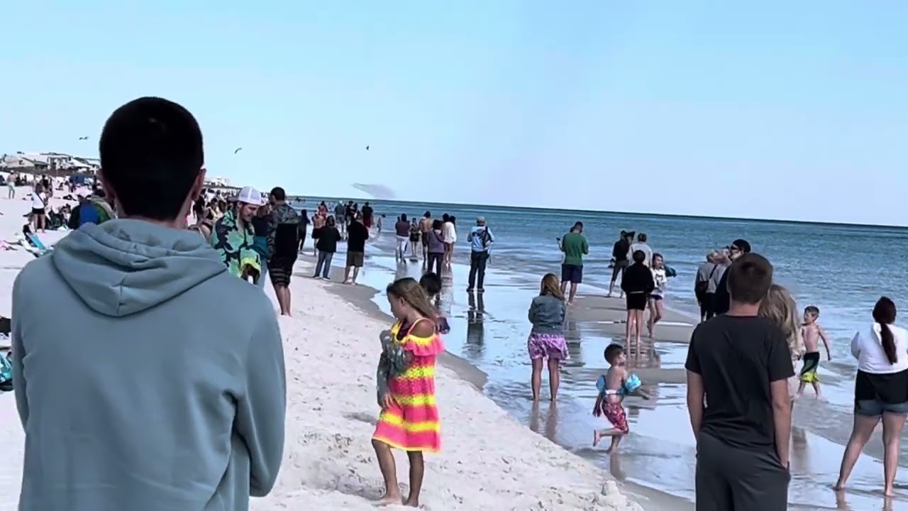 Blue angels return to Pensacola 3/18/24