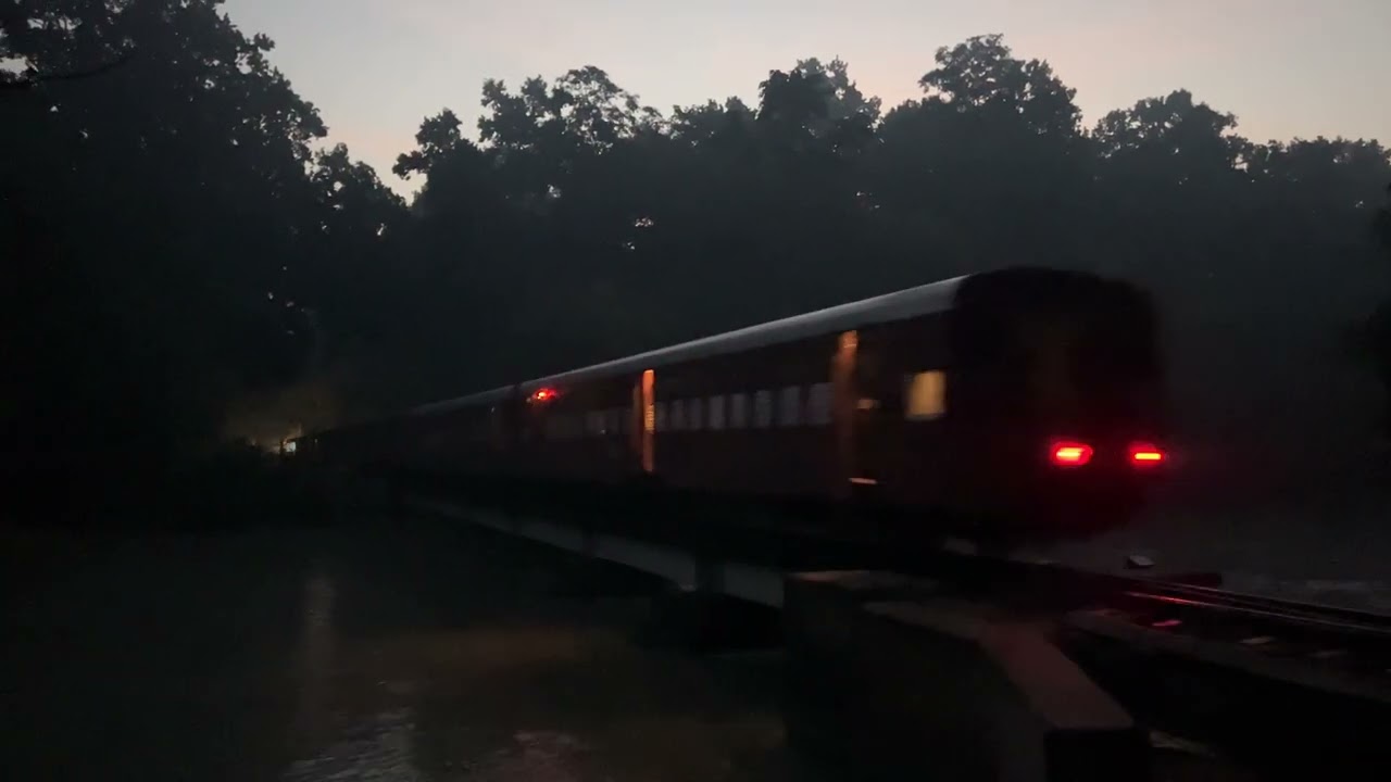 Dawn at Dudhwa - YDM4 breaks the silence at Khiri Branch Canal