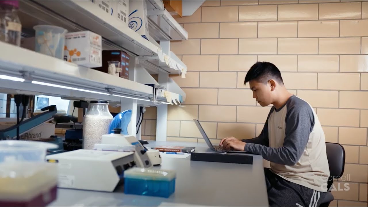 Cornell CALS Undergraduate Research Experience: Cameron Xu '26