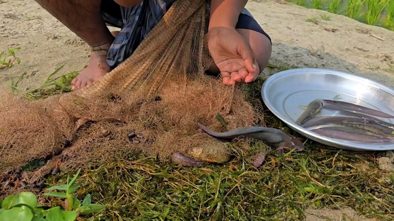 Fishing Video 2026 || The Rivers were amazed by his fishing techniques || Amazing fishing 2026 ||