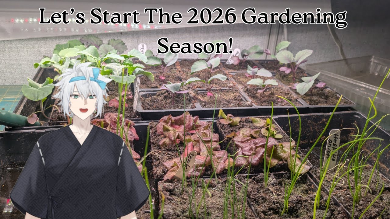 Let’s Kick Off The 2026 Gardening Season By Starting Seeds!  【Handcam】