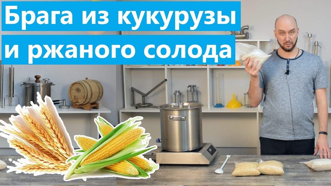 Брага из кукурузы и ржаного солода