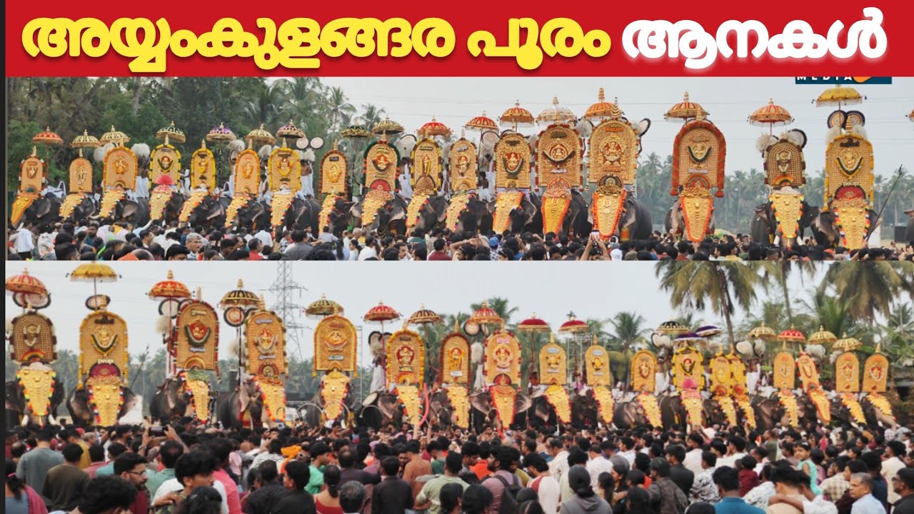 Ayyankukangara Pooram 2026 Elephants 