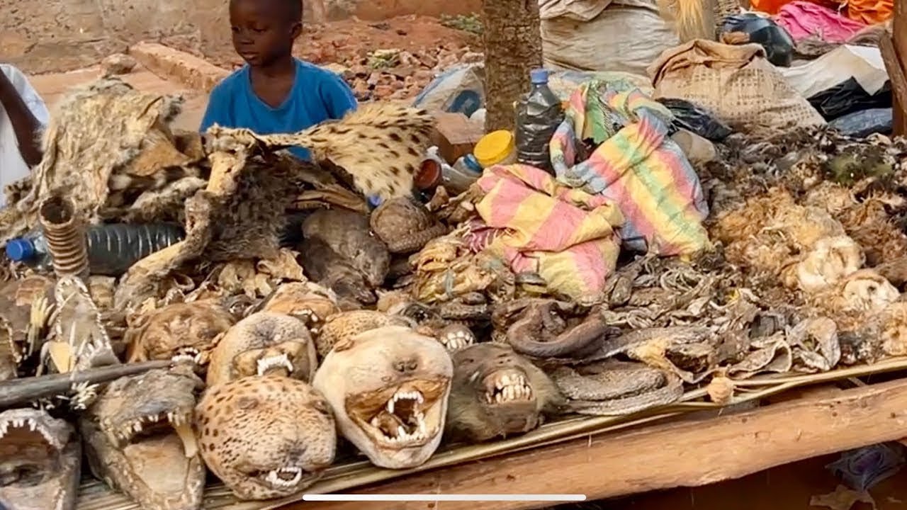 ANFOIN Togo Rural Organic African Outdoor Market In West Africa COMPILATION - Cost Of Food In Africa