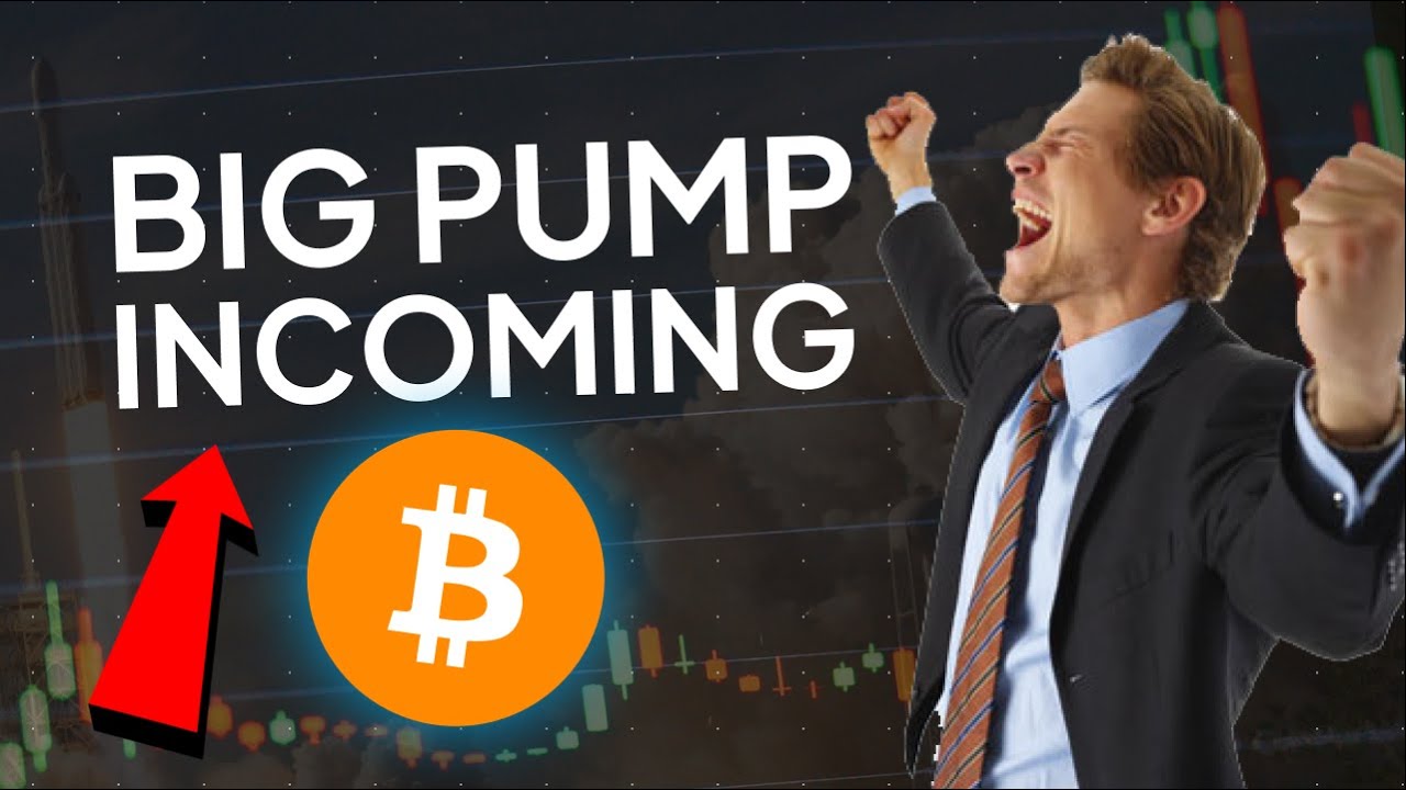 My EDUCATED Opinion On #bitcoin | Feb 04, 2023