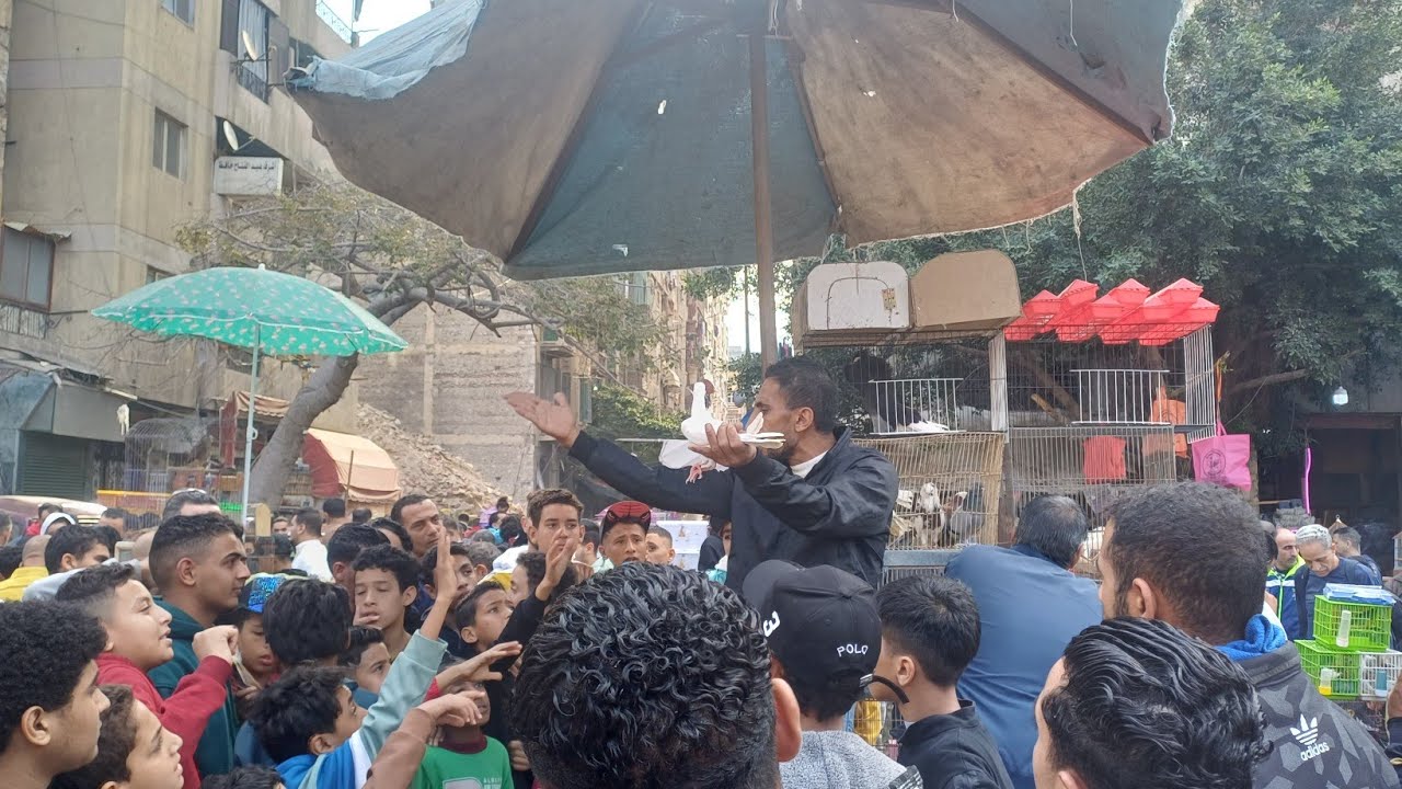 سوق الحمام في اسكندرية اليوم