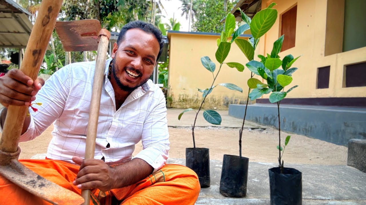 1 പ്ലാവ് മുറിച്ചു 🪓 3 പ്ലാവു നട്ടു🌳