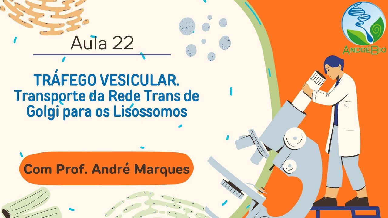 AULA 22 : TRÁFEGO VESICULAR. Transporte da Rede Trans de Golgi para os Lisossomos