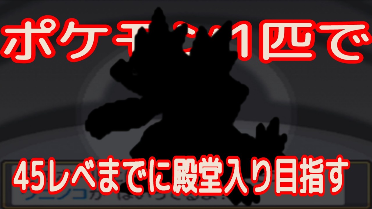 ワニノコからオーダイルまで成長させてリーグ戦に挑んだ結果