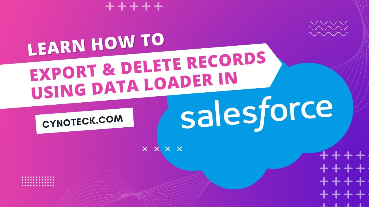 How to Export Data and Delete records using the Data Loader in Salesforce Org